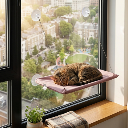 Le Hamac'chat – Son coin soleil préféré ☀️🐈