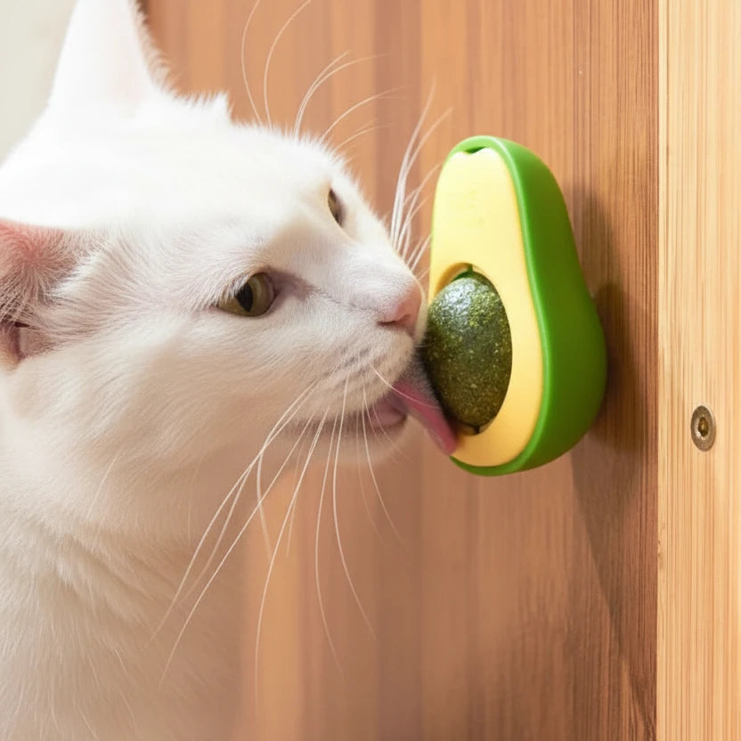 Natural Catnip Cat Wall Stick-On Ball Toy Scratchers Treats Healthy Natural Removes Balls to Promote Digestion Cat Grass Snack
