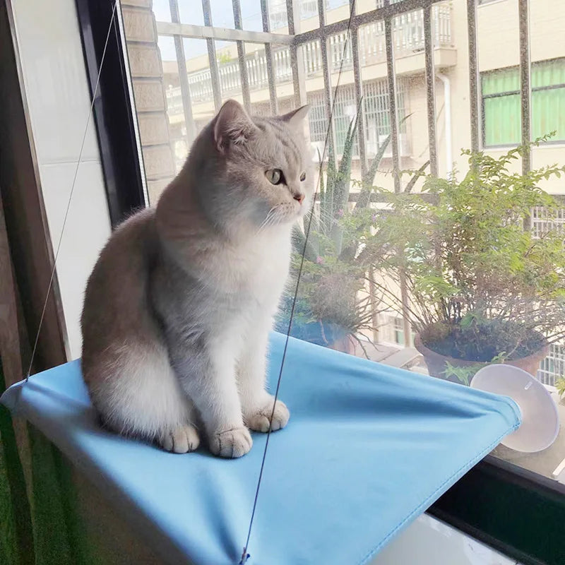 New Pet Cat Hammock Hanging Cat Bed Bearing 20 Kg Comfortable Sunny Window Seat Kitten Rock Climbing Frame Pet Supplies