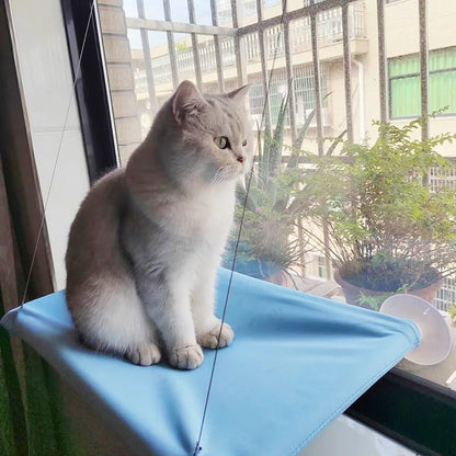 New Pet Cat Hammock Hanging Cat Bed Bearing 20 Kg Comfortable Sunny Window Seat Kitten Rock Climbing Frame Pet Supplies